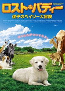 [DVD] ロスト・バディー 迷子のベイリー大冒険