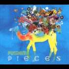 [CD] PUSHIM／PIECES