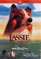 [DVD] 名犬ラッシー