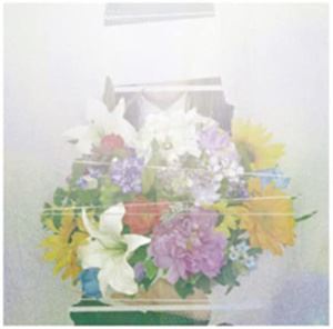 <strong>ヨルシカ</strong> / 夏草が邪魔をする [CD]