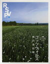アールエスブイピー 第7号