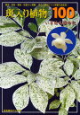 斑入り植物ベスト100 美品・珍品・稀品・花変わり満載! いさは礼讃の記