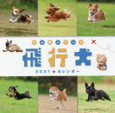 カレンダー ’21 飛行犬