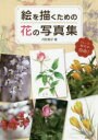 絵を描くための花の写真集 トレース・模写が自由!