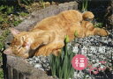 カレンダー ’21 岩合光昭 福ねこ