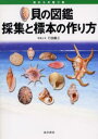 貝の図鑑採集と標本の作り方 海からの贈り物