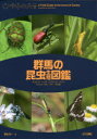 群馬の昆虫生態図鑑 チョウ・ガ/トンボ/コウチュウ/バッタ カメムシ・セミ/ハチ/その他
