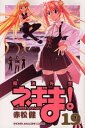 魔法先生ネギま! 19