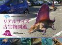リアルサイズ古生物図鑑 古生物のサイズが実感できる! 古生代編