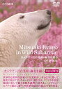 カメラマン岩合光昭 極北を撮る DVD-BOX ◆20%OFF!