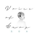 [̵] SOAvo / Voice of Buoy [CD]