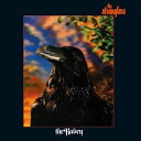 【輸入盤】STRANGLERS ストラングラーズ/RAVEN(CD)