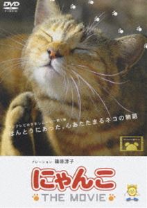 にゃんこ THE MOVIE(DVD) ◆20%OFF！