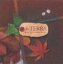 @stאL^virtual trip presents for TERRA(CD)ʔ