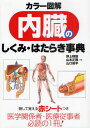 内臓のしくみ・はたらき事典 カラー図解