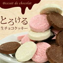 【送料込】生チョコクッキー福袋30個入(北海道・沖縄別途送料...