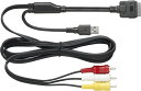 クラリオン CCA-750-500 ビデオ対応 iPod接続ケーブル clarion アゼスト