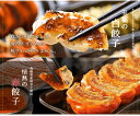 【送料無料】餃天の3色餃子48個セット(赤餃子12個・白餃子24個・ふき餃子12個)【お歳暮】【ギフト】【餃子の餃天】(ぎょうざのぎょうてん)東北【楽ギフ_のし】王様のブランチ
