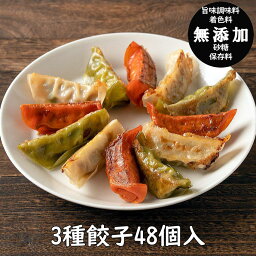 【送料無料】餃天の3種餃子48個詰合せ【赤餃子12個・白餃子24個・ふき餃子12個】<strong>餃子の餃天</strong>/餃子/ギョーザ/お取り寄せ/無添加/化学調味料無添加