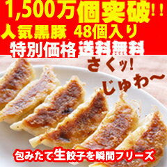 黒豚餃子48個！約1kg送料無料!!!!【特別ご招待】