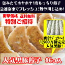 1,500万個突破！甘い肉汁たっぷり黒豚餃子96こ送料無料！