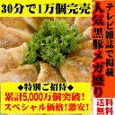 1,500万個突破！甘い肉汁たっぷり黒豚餃子96こ送料無料！