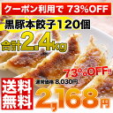 めちゃ売れ！本餃子と黒豚餃子！合計120個2.4kg餃子ぎょうざギョーザお試し