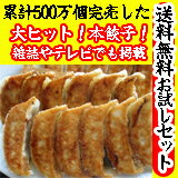 【送料無料】700万個完売！本餃子40こ入お試しセット