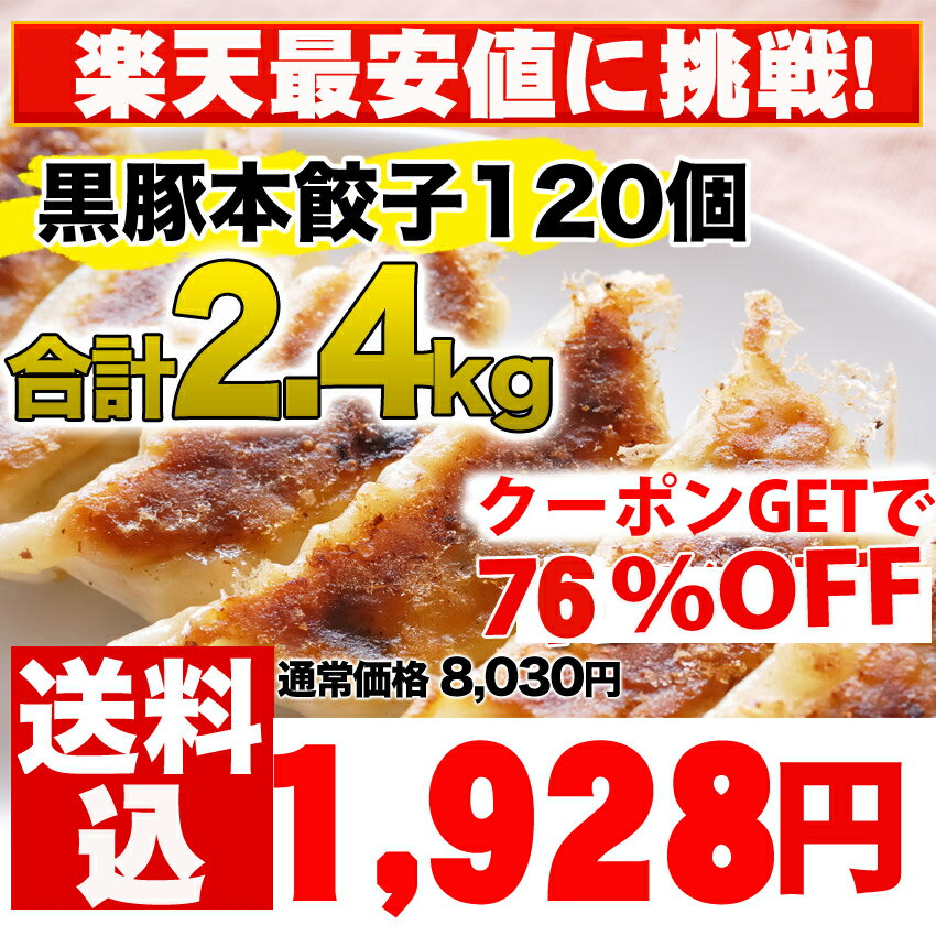 餃子/セット本餃子と黒豚餃子！合計120個セット累計5,000万個完売★特別価格の人気餃子