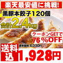 餃子/セット【累計5,000万個完売】本餃子と黒豚餃子！合計120個セット【生餃子】【1】