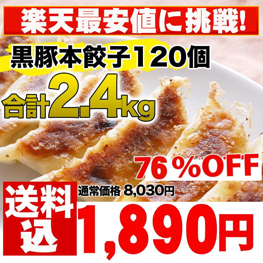 【累計5,000万個突破】即完売！人気メガ盛り！合計120個約2．4kg