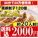 【5000万個完売！】黒豚餃子！合計120個約20人前！送料込み