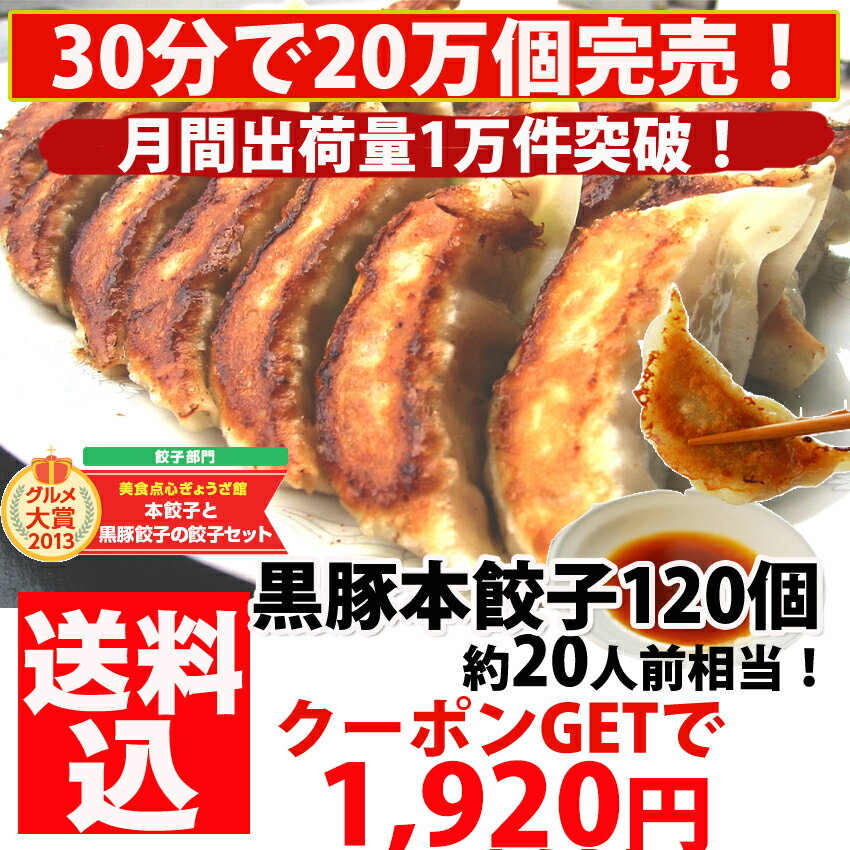 餃子/セット【累計5,000万個完売】本餃子と黒豚餃子！約120個分【生餃子】