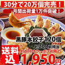 餃子【5000万個完売】本餃子と黒豚120個！約20人前！メガ盛り/黒豚餃子/餃子