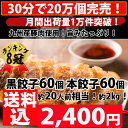 餃子 送料無料 【累計5,000万個突破】即完売！人気餃子 メガ盛り！合計120個！約20人前！