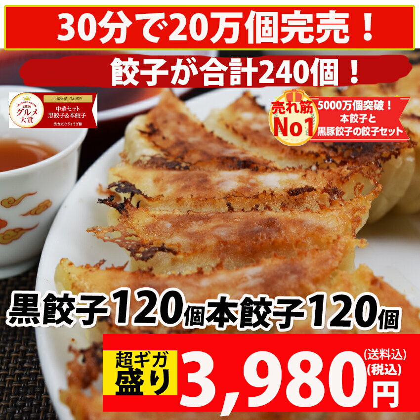 【hon120kuro120】餃子 送料無料 【30分で20万個完売】◆黒餃子120個本餃子120個！合計240こ【送料込】【生餃子】