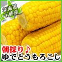 【北海道十勝産】ゆでとうもろこし■業務用■【楽ギフ_のし】 2P13oct13_b