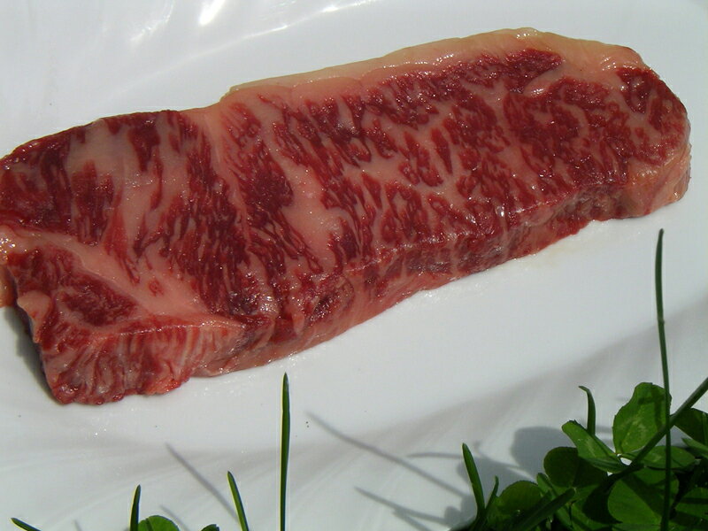 2009ǯ3ʹߤϤʥơ٤äáɤʤʤ鿩٤󥹥ơM 1200249g