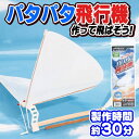 【3点までメール便も可能】 パタパタ飛行機 [ゴム飛行機 子...