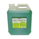 エポラール サブリナ ファーストシャンプー 4L 業務用|シャンプー 美容室専売 サロン専売品 シャンプー サロン シャンプー 4000ml 詰め替え 詰替用 大容量 ヘアケア サロン専売 美容室専売