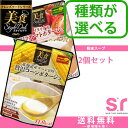 【最大300円OFF】クーポン配布中!9日9:59まで【送料無料(北海道・沖縄を除く)】クレンズフードシリーズ 美食スタイルデリ×2個セット(粉末スープ)