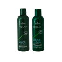 シュワルツコフ プロフェッショナル エッセンシティ シャンプー 250ml+トリートメント 194g 計2個 お試しセット|シュワルツコフ おすすめ品 ザクロ グリーンティー マルーラオイル ザクロ アロエベラ【送料無料】