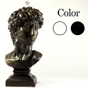石膏デッサンにも使えるリアルダビデのアロマキャンドル EYE CANDLES_DAVID (アイ キャンドル ダビデ)おもしろグッズ アロマキャンドル 癒しの香り付き ダビデのろうそく ギフト・インテリアに! 02P03Dec16