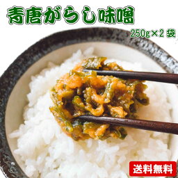 青唐辛子味噌 250g×2個セット メール便 送料無料 青唐がらし おかず <strong>ご飯のお供</strong> お取り寄せ グルメ ごはんのとも 国産 みそ 使用 青唐辛子 味噌 辛いっ けど旨い 夏<strong>ギフト</strong> とうがらしみそ おにぎりの具 食欲全開 夏バテ防止 やみつき カレー 隠し味に