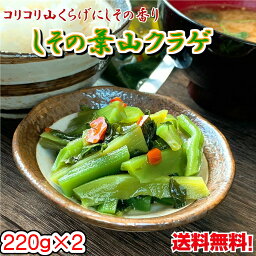 ご飯のお供 しその葉山くらげ 220g×2 <strong>送料無料</strong> メール便 やまくらげ しそ つまみ 山クラゲ 土産 道の駅 保存食 レトルト 常温保存 賞味期限 長い 非常食 お取り寄せグルメ 帰省 お土産 手土産 バレンタイン チョコ以外