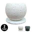 植木鉢 おしゃれ ストーンポット MM085-100 3号(10cm) / 陶器鉢 白