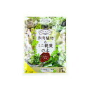 多肉植物&ミニ観葉の土 1リットル / 家庭菜園 ベランダガーデン 室内園芸