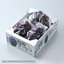 オーロラブラック 岡山県産 JAおかやま 青秀 3~5房 約2kg 送料無料 葡萄 ぶどう ブドウ