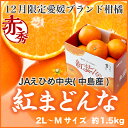 【送料無料】 JAえひめ中央 (中島産)『紅まどんな』 赤秀 3L〜Lサイズ 5玉〜9玉(約1.5kg)化粧箱入り 【送料無料】 JAえひめ中央 (中島産)『紅まどんな』 赤秀 3L〜Lサイズ 5玉〜9玉(約1.5kg)化粧箱入り