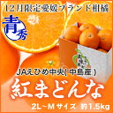 紅まどんな 愛媛県産 JAえひめ中央 中島選果場 青秀 2L...